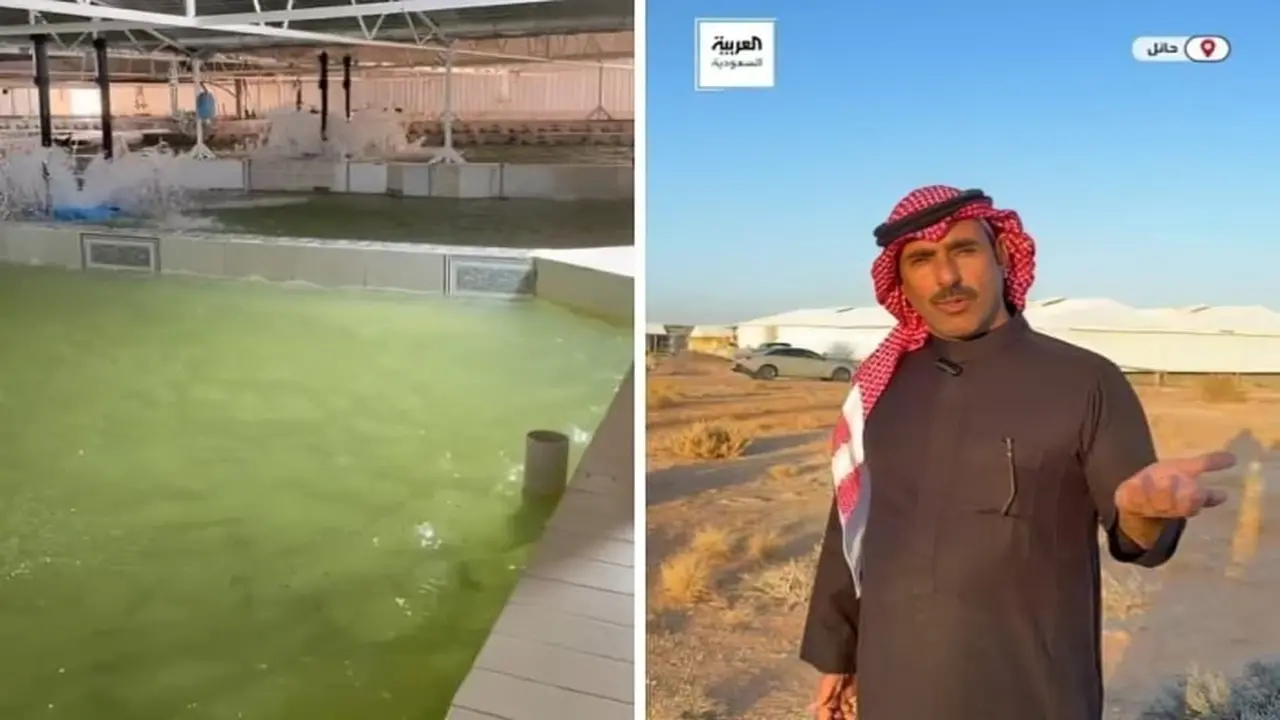 بإنتاج سنوي ضخم.. مواطن سعودي ينجح في استزراع سمك السلمون بصحراء النفود